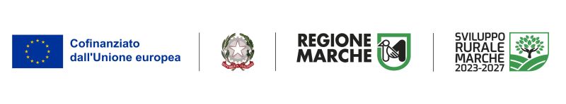 Piedino CSR Marche v2