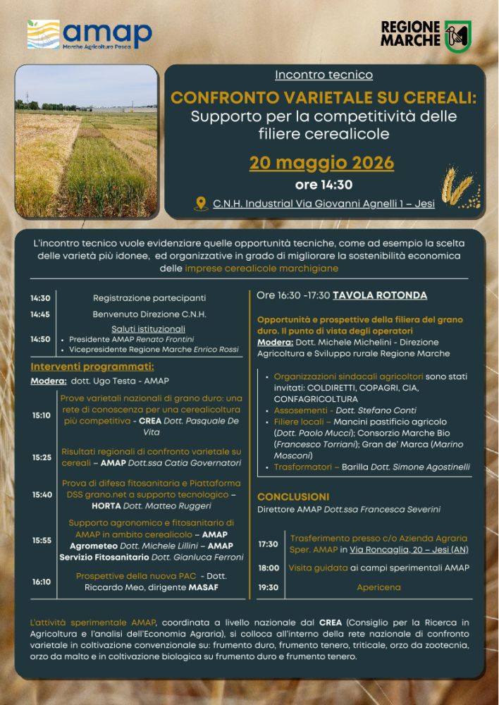 Immagine Locandina dell