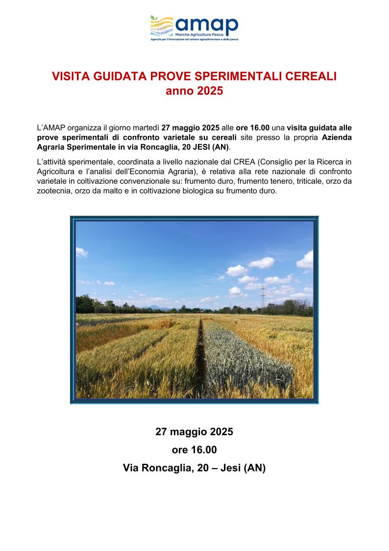 Immagine Locandina dell
