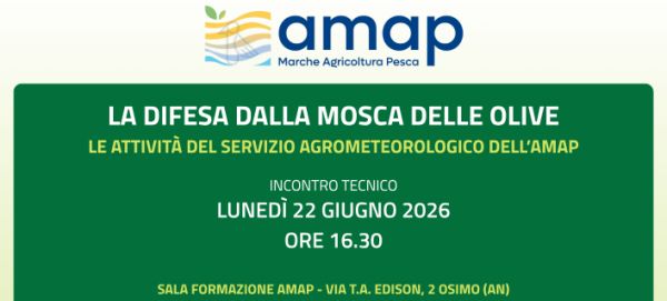 Immagine della locandina dell'evento