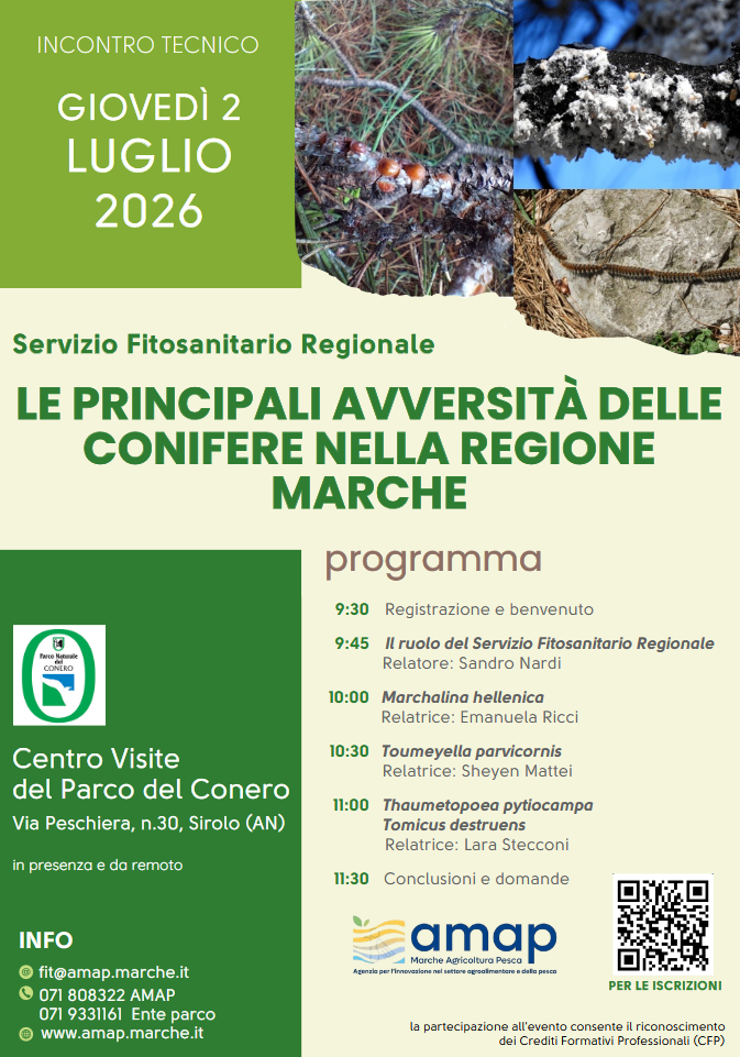 Immagine Locandina dell