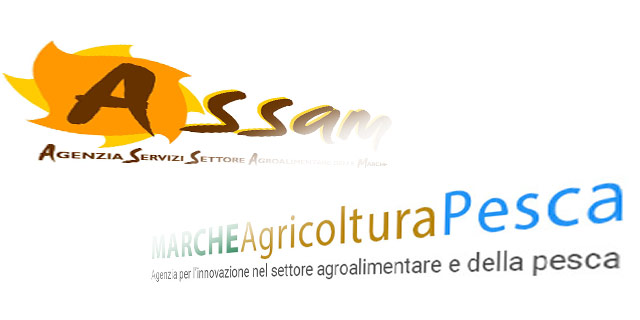 Con Legge Regionale 12/05/2022 n.11, l'Agenzia regionale per i servizi nel settore agroalimentare delle Marche (ASSAM) è stata trasformata in ente pubblico non economico denominato: Agenzia per l’Innovazione nel Settore Agroalimentare e della Pesca 