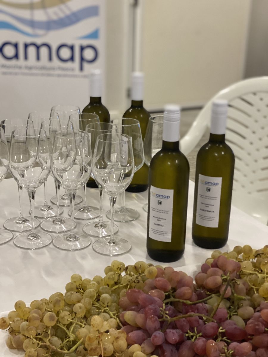 Nella foto sono ritratte le bottiglie di vino prodotte dall'azienda AMAP