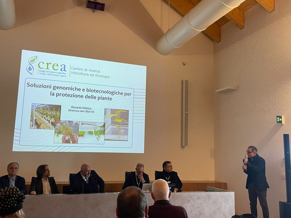 Il dott. Giuseppe Camilli descrive ai Dialoghi di Anarsia l’esperienza di Amap in materia di sperimentazione di vitigni resistenti e microvinificazione L'immagine ritrae il dott. Giuseppe Camilli descrive ai Dialoghi di Anarsia l’esperienza di Amap in materia di sperimentazione di vitigni resistenti e microvinificazione