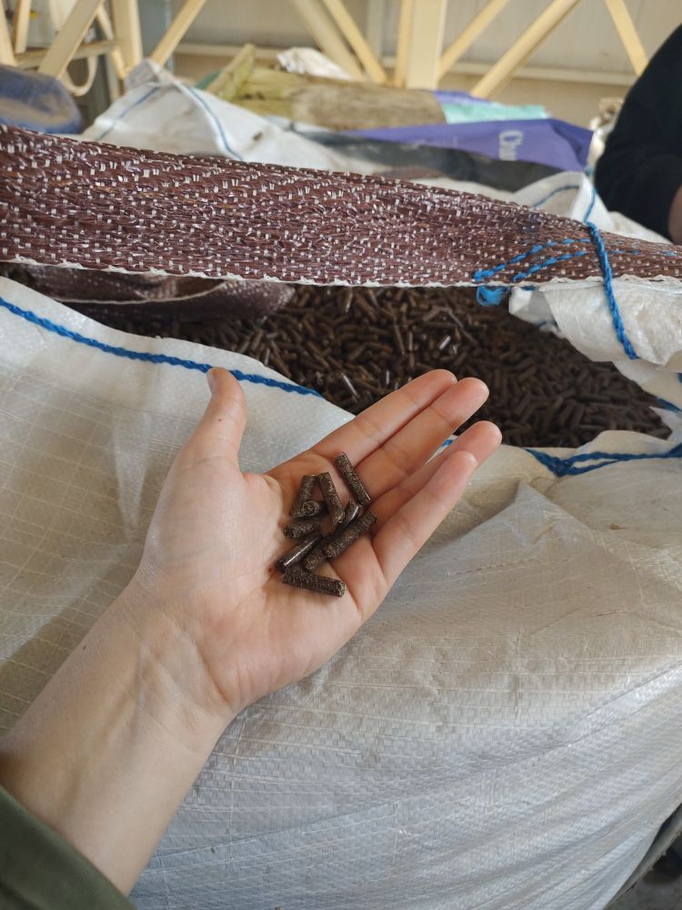 Pellet prodotti nella Comunità energetica di Karditsa a partire dai fondi di caffè L'immagine ritrae i pellet prodotti nella Comunità energetica di Karditsa a partire dai fondi di caffè