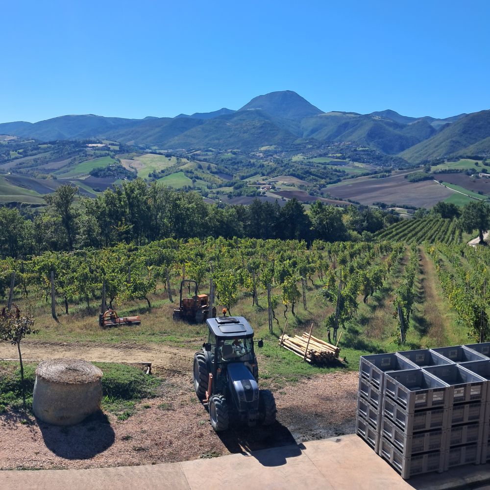 Il gruppo di lavoro internazionale presso la Fattoria Nannì, Azienda Agricola Cantori Roberto, situata nelle vicinanze dell’area pilota L'immagine ritrae il gruppo di lavoro internazionale presso la Fattoria Nannì, Azienda Agricola Cantori Roberto, situata nelle vicinanze dell’area pilota