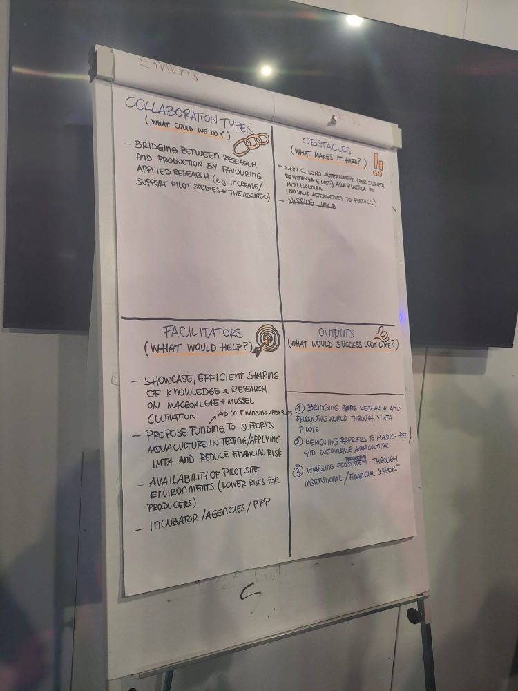 Schema di co-design elaborato durante il Living Lab: analisi di facilitatori, ostacoli, modelli di collaborazione e output progettuali. L'immagine ritrae una lavagna con lo schema di co-design elaborato durante il Living Lab.