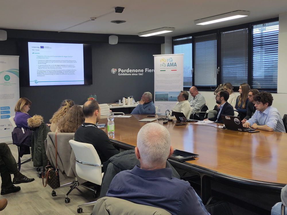 Verso lo sviluppo di un settore delle alghe forte, competitivo e sostenibile. L'immagine ritrae i partecipanti durante una sessione di lavoro attorno al tavolo di confronto