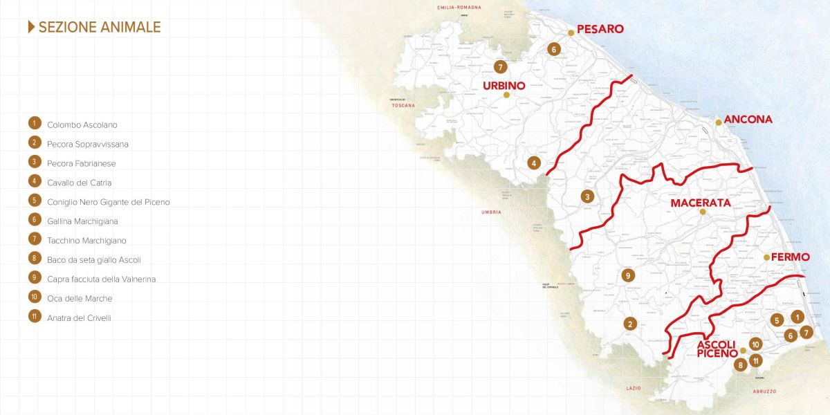 Immagine della mappa delle specie animali