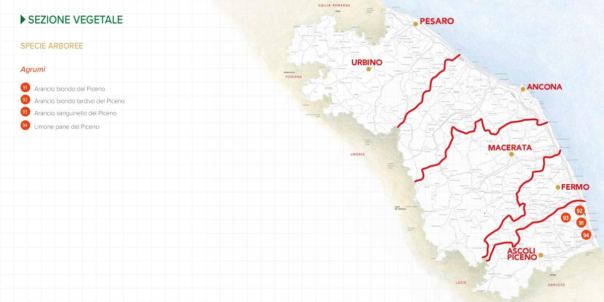 Immagine della mappa delle specie di Agrumi