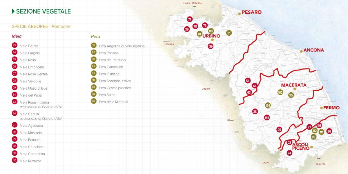 Immagine della mappa delle specie di Mela e Pera