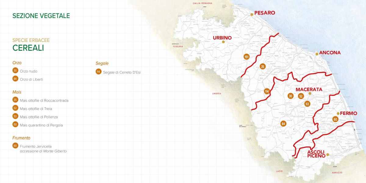 Immagine della mappa delle specie di Cereali