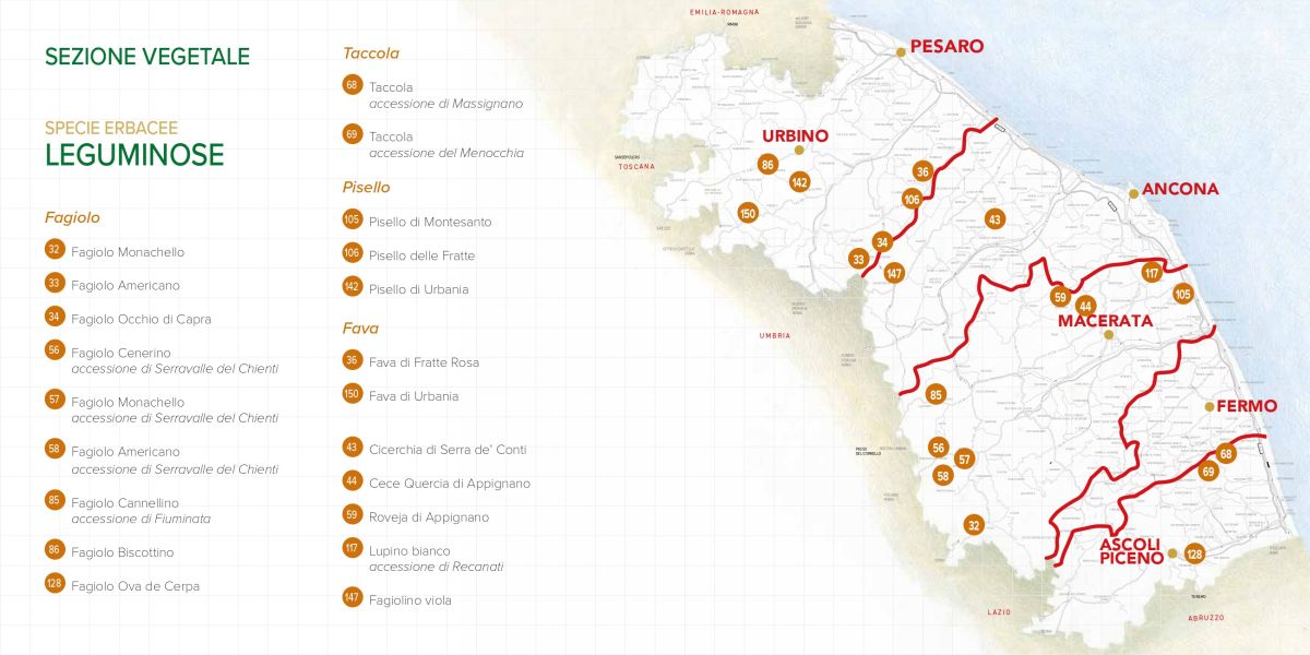 Immagine della mappa delle specie di Leguminose