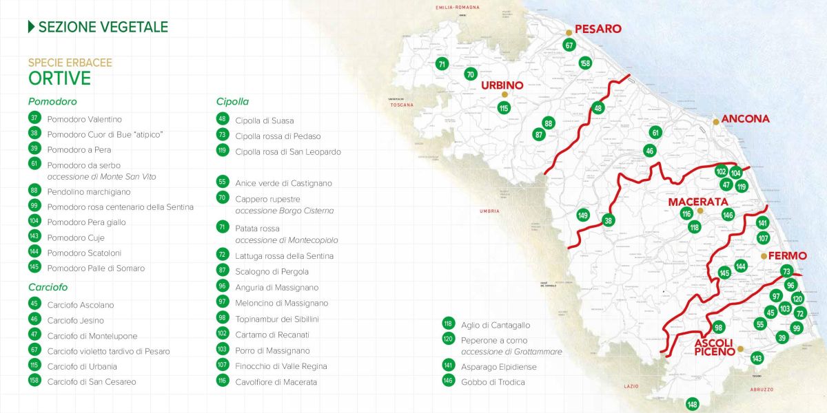 Immagine della mappa delle specie di Ortive