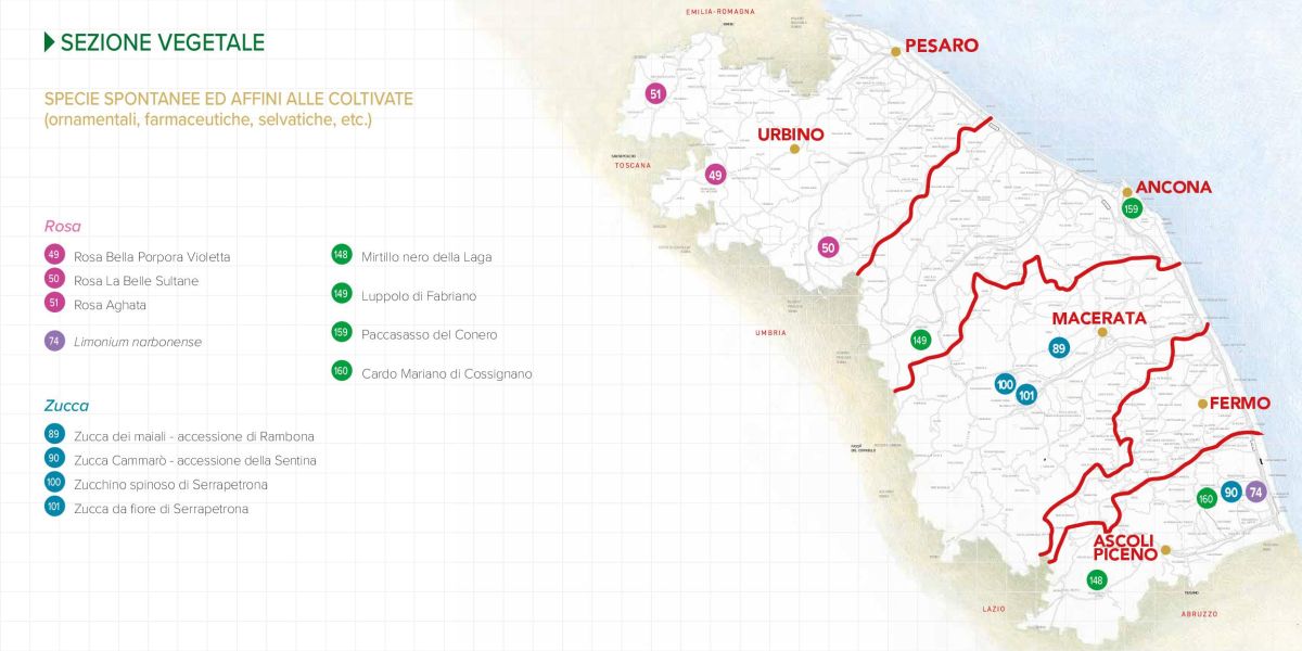 Immagine della mappa delle specie spontanee ed affini alle coltivate