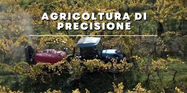 L'immagine ritrae un trattore tra filari di vigna