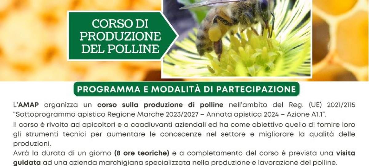 22/04/2024: Corso di produzione del Polline 2024