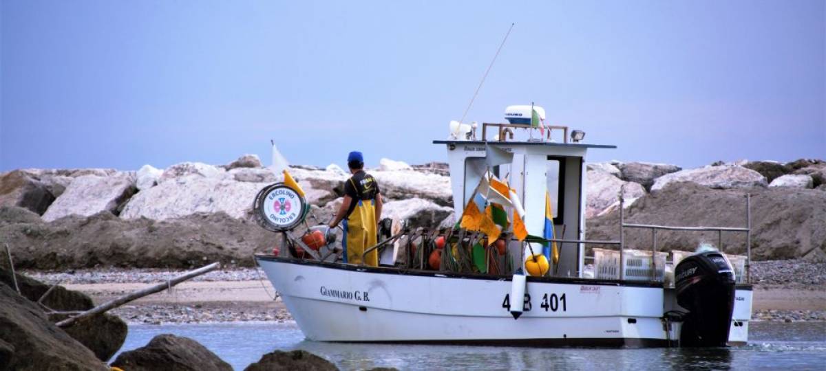 Motori elettrici per la pesca in Adriatico, al via il progetto europeo 3EFISHING