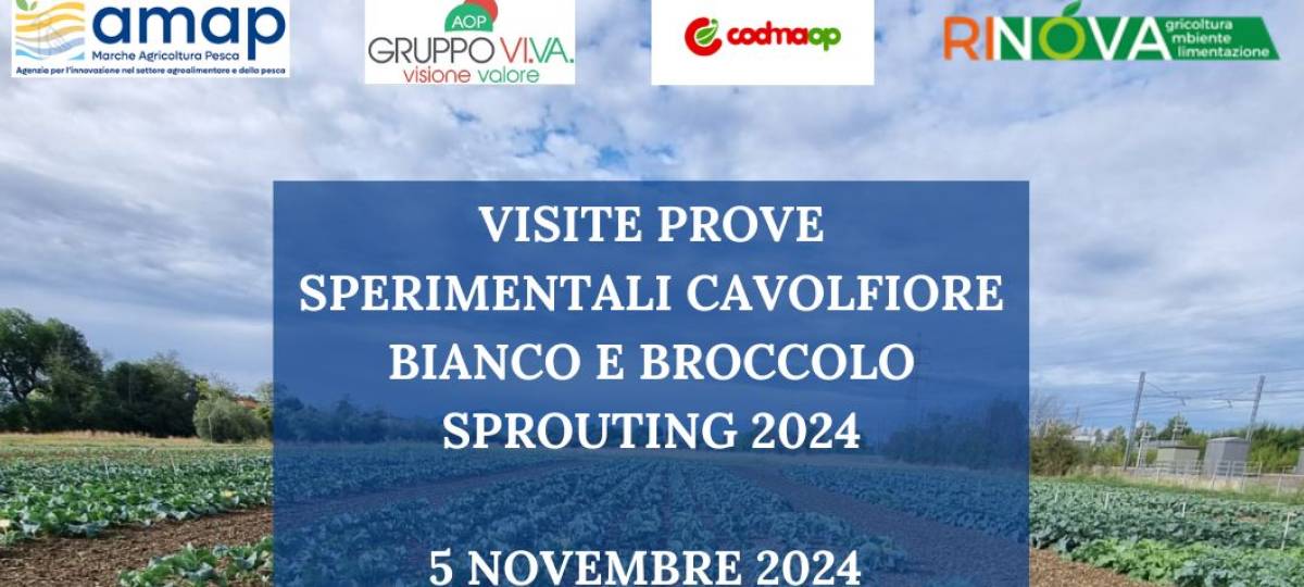 05/11/2024: Prove sperimentali sulle Brassicacee nell'Azienda Agraria Sperimentale di Jesi