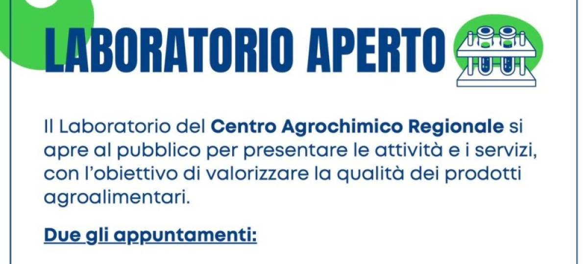 18-25/11/2024: Laboratorio aperto appuntamenti il 18 e 25 novembre