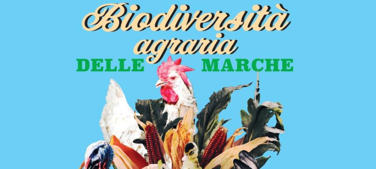 Repertorio regionale Biodiversità agraria L.12/2003