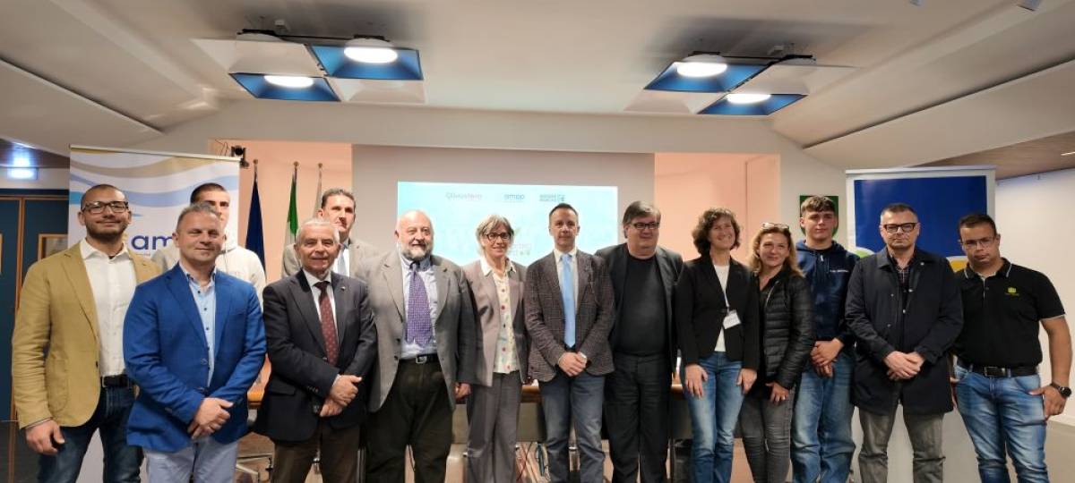 Al via Olivosfera: AMAP racconta e valorizza il mondo dell'olivo