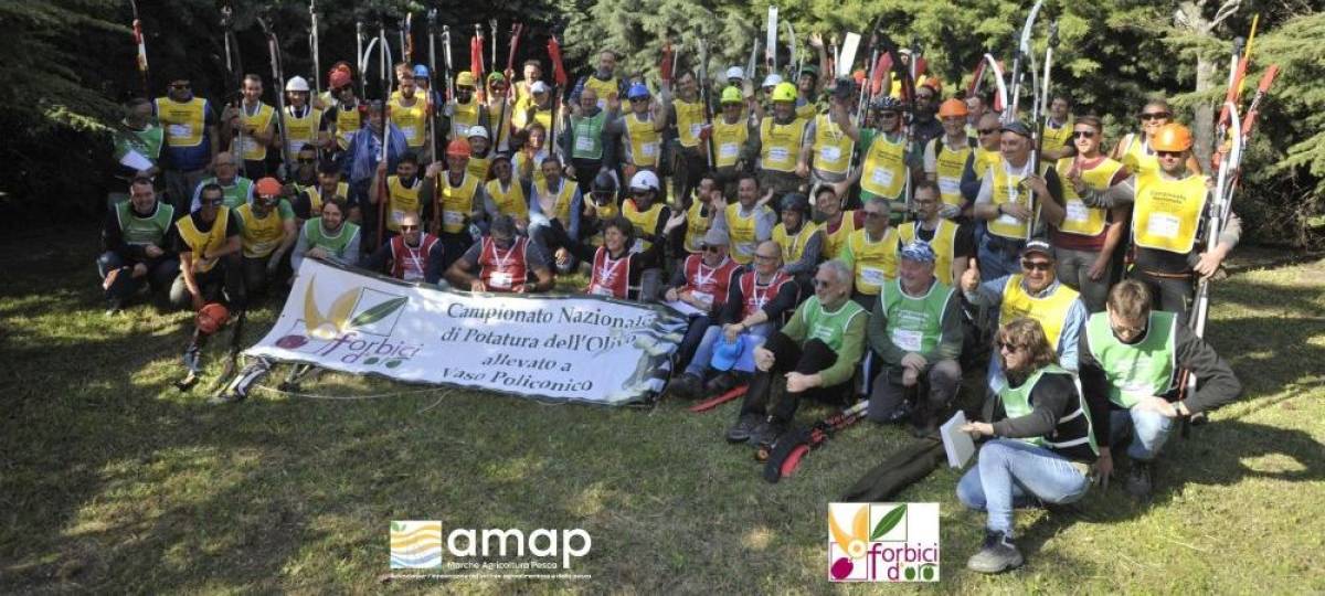 20° Campionato Nazionale di Potatura dell’Olivo a vaso policonico – “Forbici d’Oro”