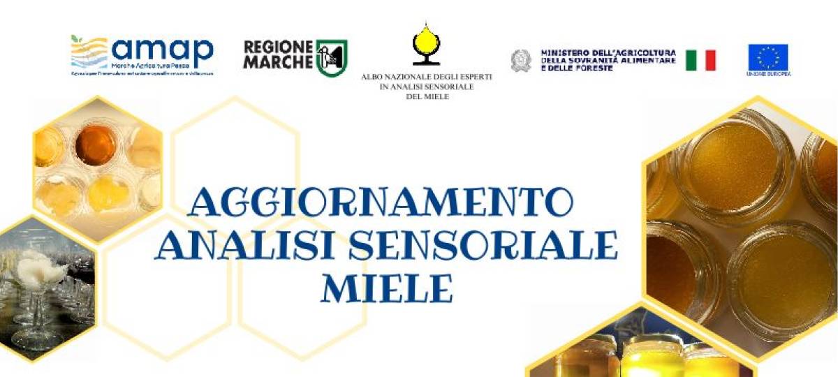 16/06/2025: Aggiornamento Analisi sensoriale miele 2025