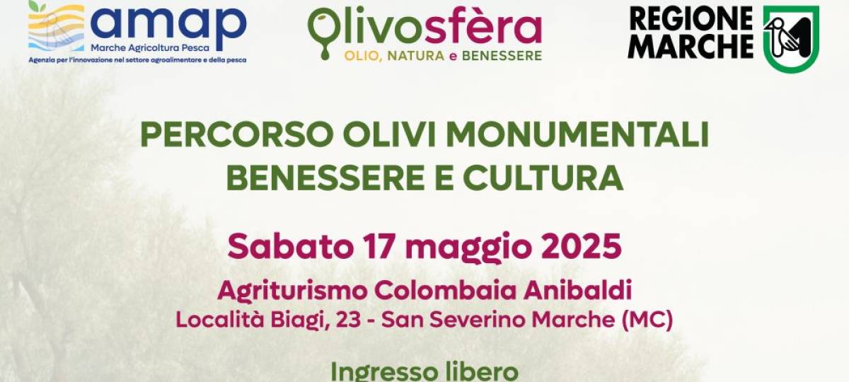 17/05/2025: Percorso Olivi Monumentali – Benessere e Cultura
