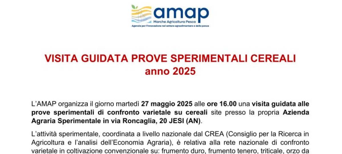 27/05/2025: Visita guidata prove sperimentali cereali anno 2025