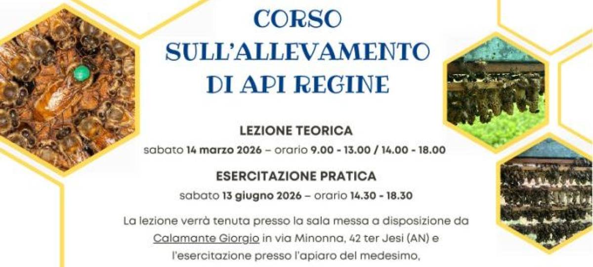 14/03/2026: Corso sull’allevamento di api regine 2026