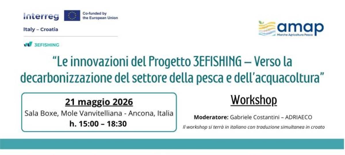 21/05/2026: Ad Ancona il workshop del progetto 3EFISHING dedicato alla decarbonizzazione della pesca e dell’acquacoltura