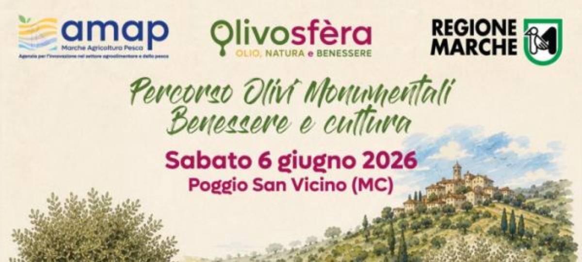 06/06/2026: Percorso Olivi Monumentali - Benessere e cultura
