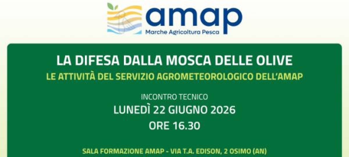 22/06/2026: Incontro tecnico 