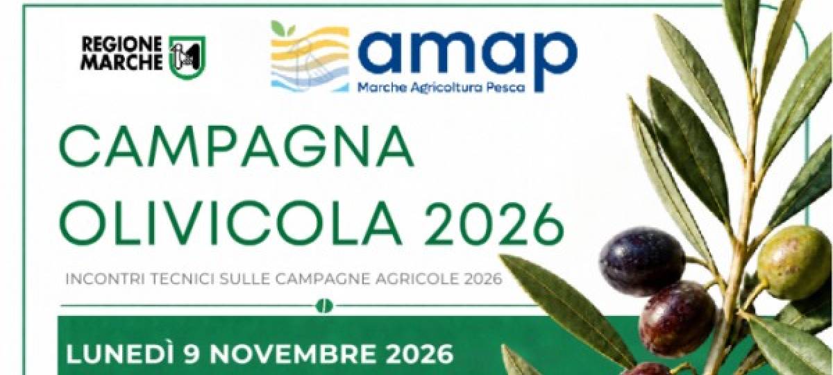 09/11/2026: I lunedì dell'Agrometeo, campagna olivicola